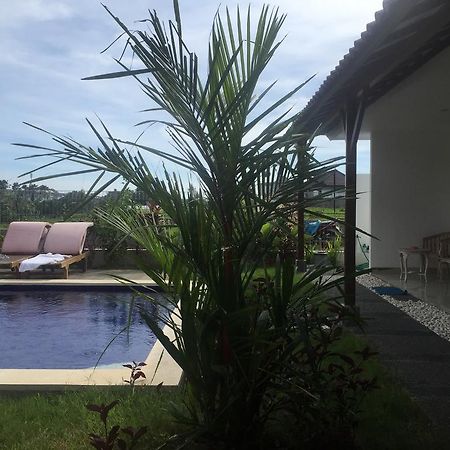 Pererenan Nengah Guest House Canggu Exterior foto